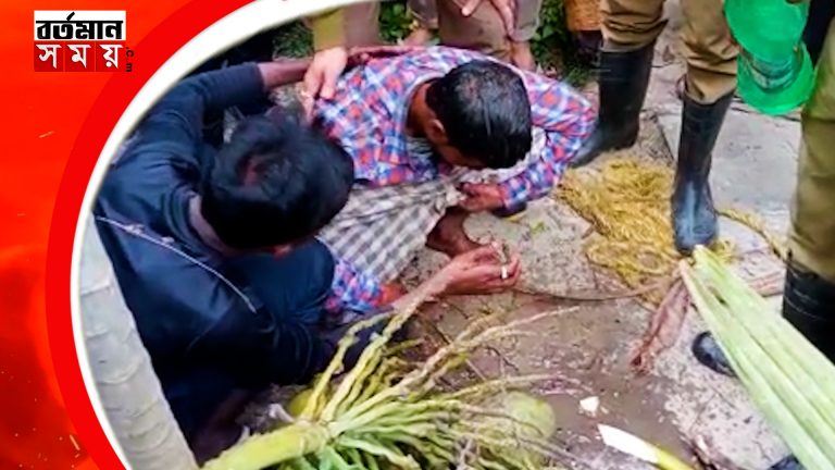 নারকেল গাছে উঠে বিপত্তি , ফায়ার বিগ্রেডের প্রচেষ্টায় প্রাণ বাঁচল যুবকের