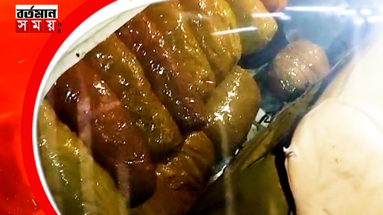 উলুবেড়িয়ায় একটি গাড়ি থেকে উদ্ধার প্রায় ৪০ কেজি গাঁজা