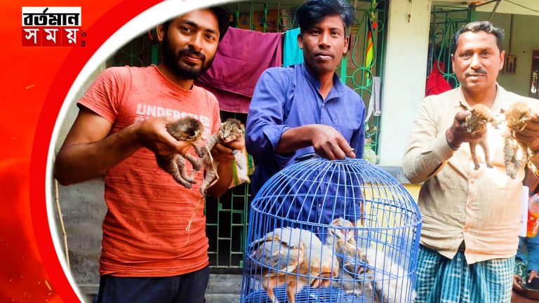 ক্যানিংয়ে ৪ টি বাঘরোল শাবক ও ৩ টি পেঁচা উদ্ধার করে বনদফতরের হাতে তুলে দিলেন বাসিন্দারা