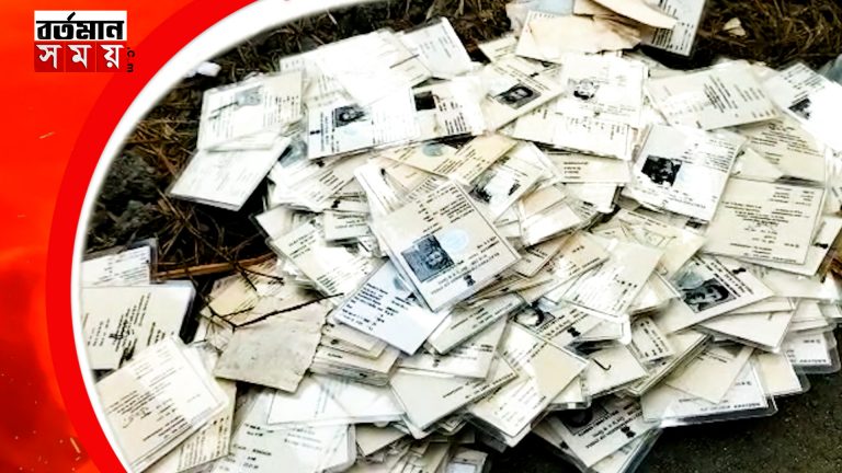 বাসন্তীতে রাস্তায় পরে রয়েছে প্রায় পাঁচশোর বেশি ভোটার কার্ড।