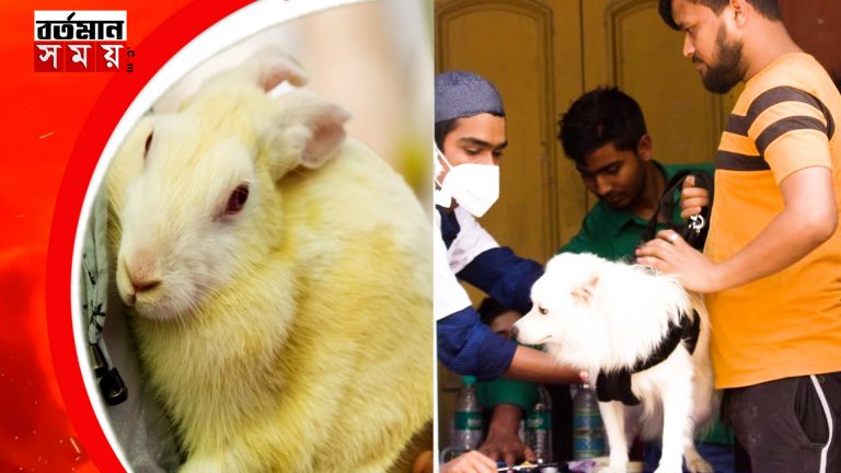 আরও একধাপ এগিয়ে “প্রয়াস”,নৈহাটিতে এই প্রথমবার পোষ্যদের বিনামূল্যে স্বাস্থ্য শিবির।