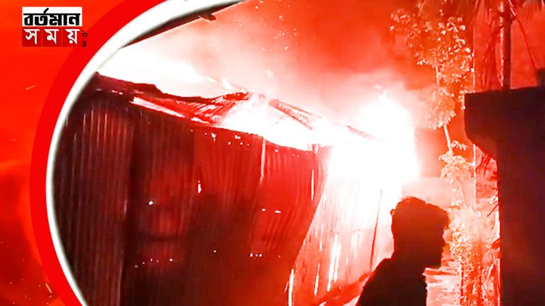 বিধ্বংসী অগ্নিকান্ড কাঠের গোডাউনে