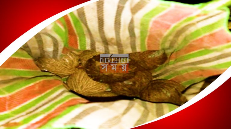 ফের সামসেরগঞ্জ থেকে উদ্ধার ব্যাগ ভর্তি তাজা বোমা।