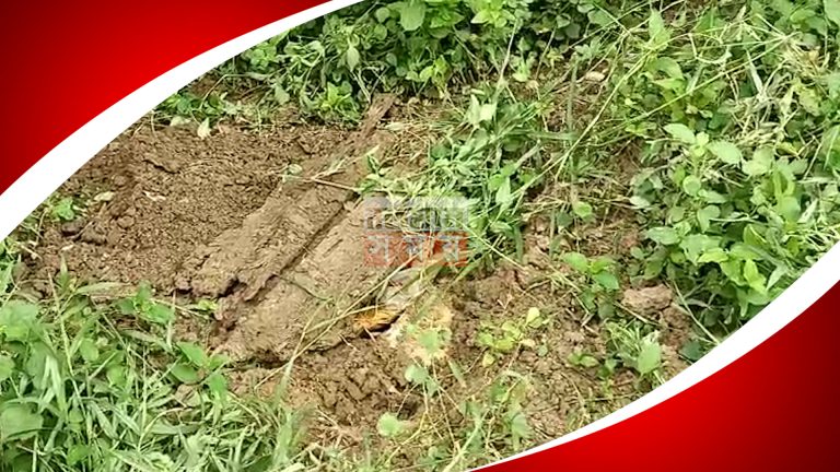 বগটুই কাণ্ডের অভিযুক্ত মৃত লালন সেখের বাড়ির বাগান থেকে বোমা উদ্ধার।