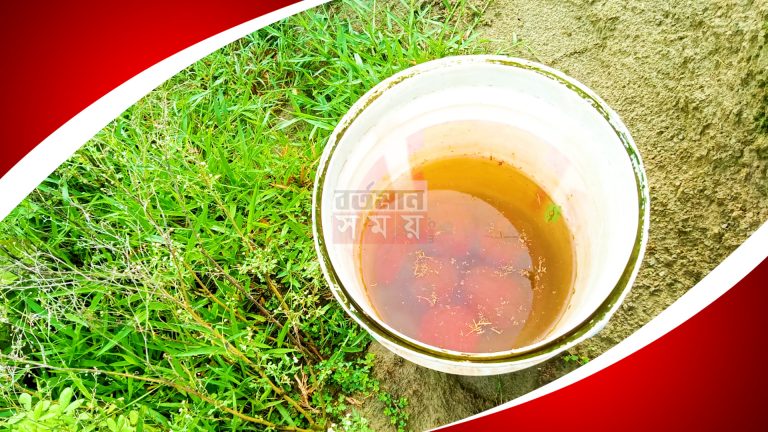 মুর্শিদাবাদে দু বালতি তাজা বোমা উদ্ধার করলো পুলিশ।