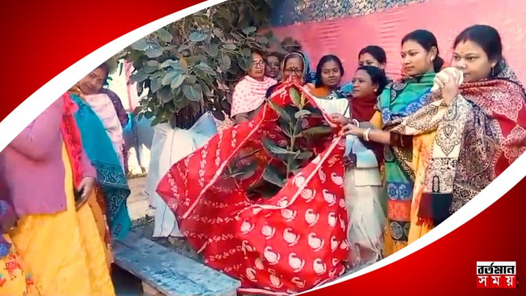 পরিবেশ বাঁচাতে গাছের বিয়েতে ছিল গায়ে হলুদ থেকে নান্দিমুখ।