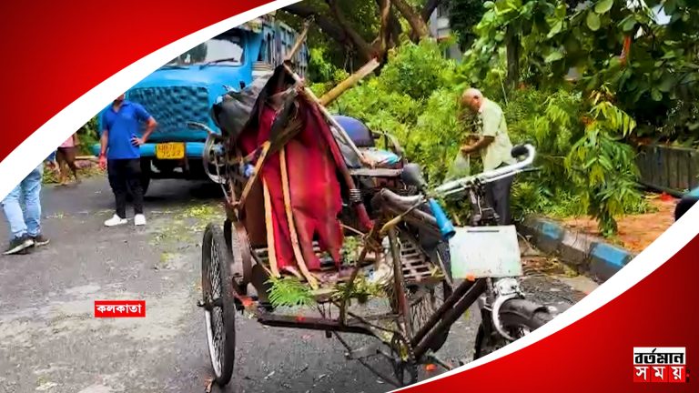 গল্ফগ্রিনে বৃষ্টিতে গাছ ভেঙে পড়ে মৃ’ত্যু হল এক রিক্সা চালকের।