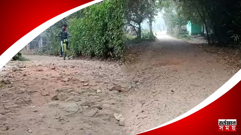 পিচের রাস্তা হয়নি বলে গ্রামের ছেলেমেয়েদের বিবাহ হচ্ছে না ?