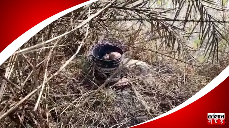 ফের বোমা উদ্ধারের ঘটনায় চাঞ্চল্য মারগ্রামে