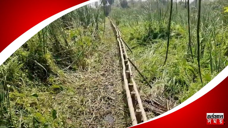 প্রাক্তন তৃণমূল বিধায়কের মেয়ে-জামাইয়ের জমি হাতিয়ে নেওয়ার অভিযোগ !