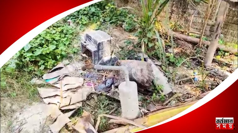 Gosaba Islanders face extreme drinking water crisis